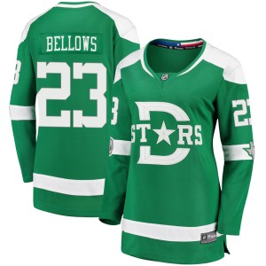 Brian Bellows Women's Fanatics Branded Dallas Stars Breakaway Green 2020 Winter Classic Jersey